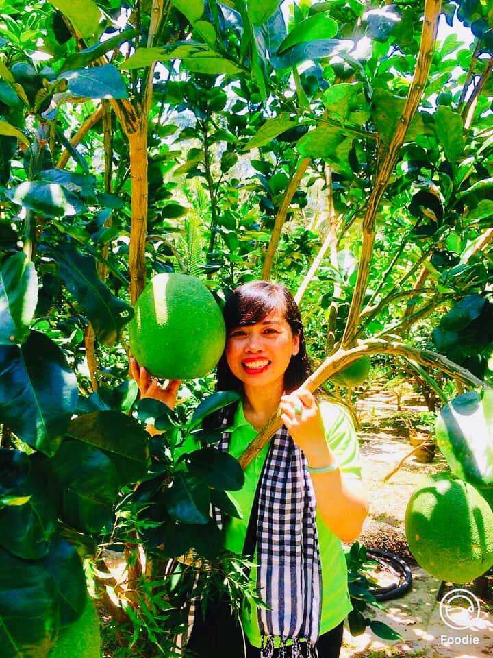 BƯỜI DA XANH RUỘT ĐỎ 