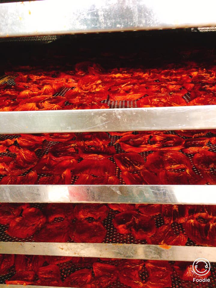 HỒNG SẤY DẺO