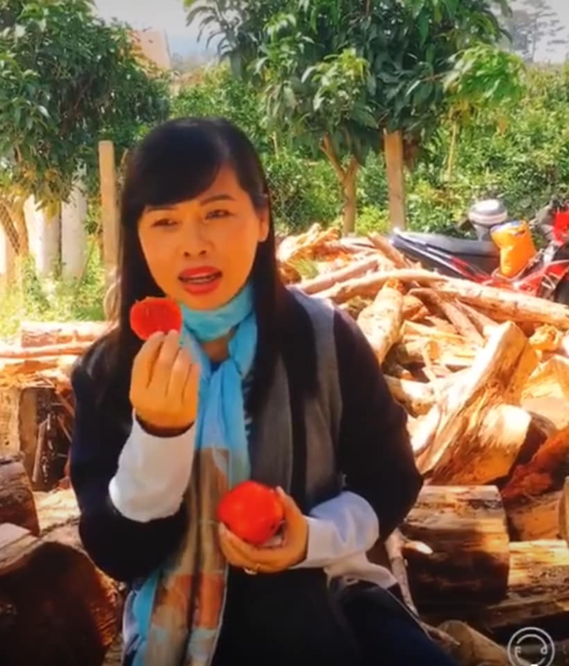  HỒNG SẤY DẺO ĐÀ LẠT 