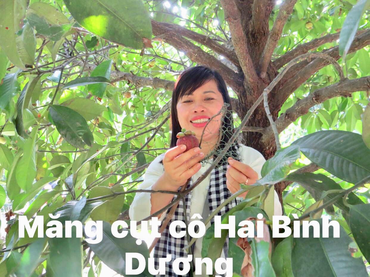 MĂNG CỤT CÔ HAI BÌNH DƯƠNG