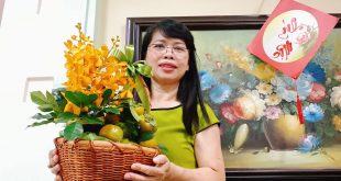 QUẢ HỒNG GIÒN LÀM QUÀ TẶNG CÓ ĐƯỢC KHÔNG ?