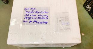 HỒNG GIÒN GỞI ĐI TỈNH