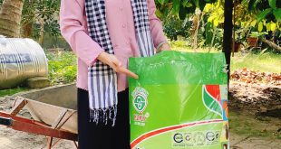 BÓN PHÂN GÌ CHO CÂY MĂNG CỤT