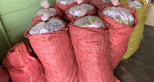 BÍ MẬT ĐỂ HỒNG GIÒN KHÔNG BỊ CHÁT.