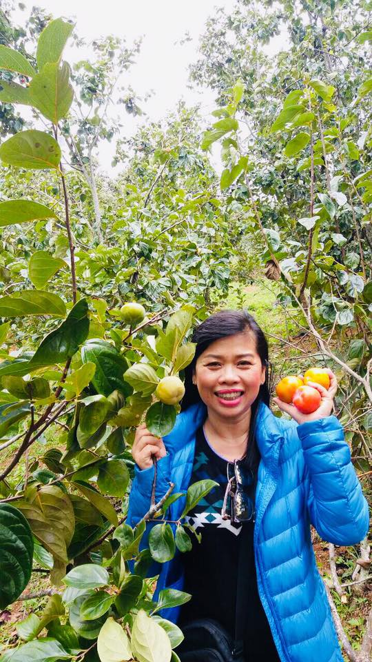 HỒNG GIÒN NGON NHẤT ĐÀ LẠT