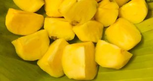 CÁCH ĂN HỒNG GIÒN NGON NHẤT