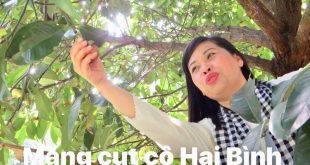 VƯỜN MĂNG CỤT CÔ HAI BÌNH DƯƠNG