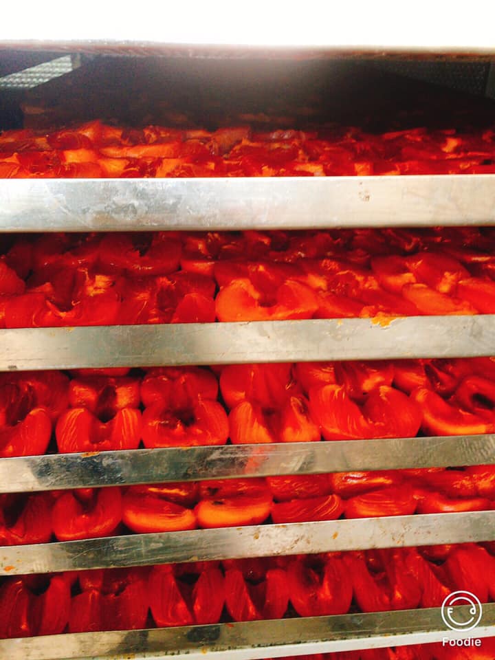 QUẢ HỒNG SẤY DẺO LÀM TỪ QUẢ HỒNG VUÔNG 