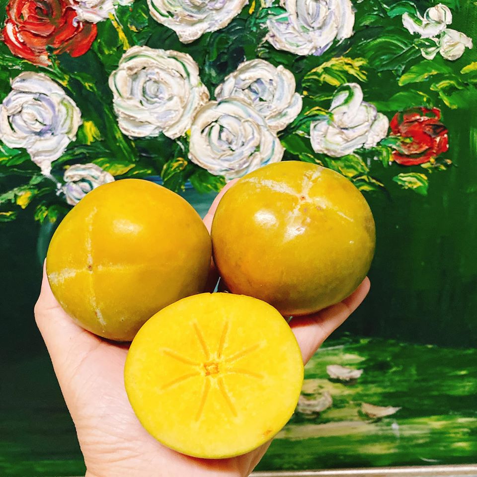 HỒNG GIÒN ĐÀ LẠT