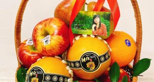 GIỎ TRÁI CÂY THĂM NGƯỜI BỆNH