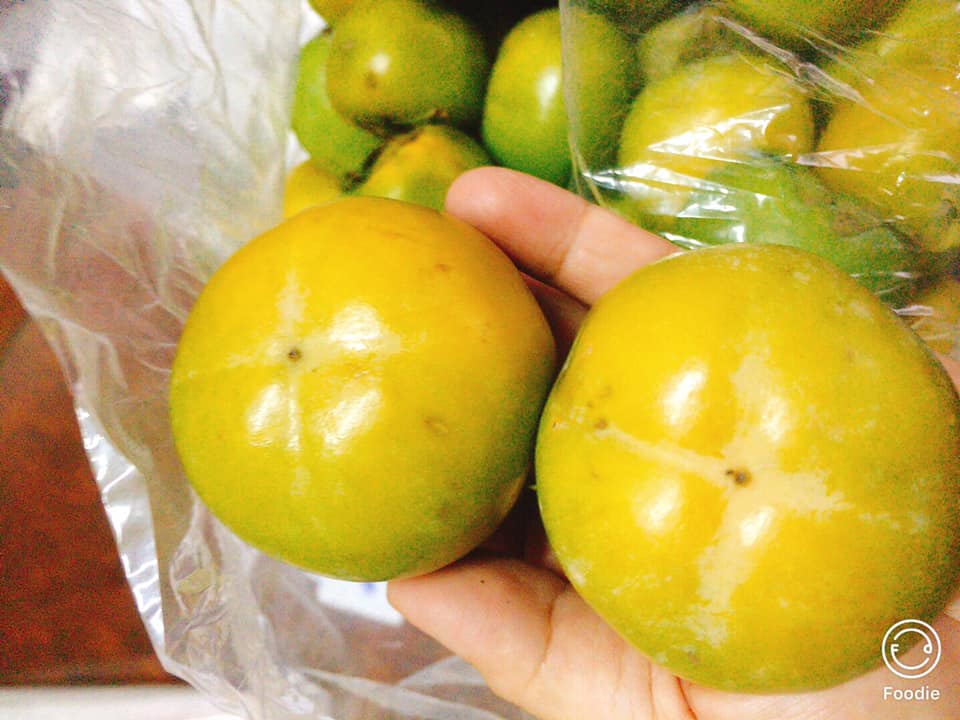 HỒNG GIÒN ĐÀ LẠT ĐỂ ĐƯỢC BAO LÂU