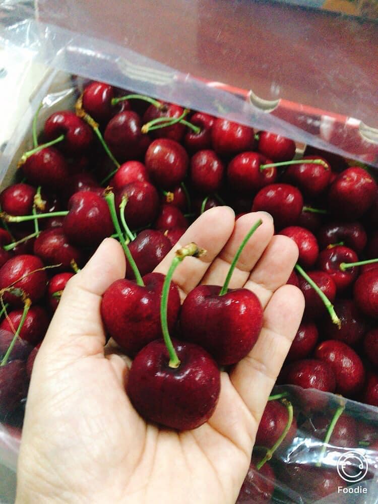 HỘP QUÀ CHERRY BIẾU TẾT