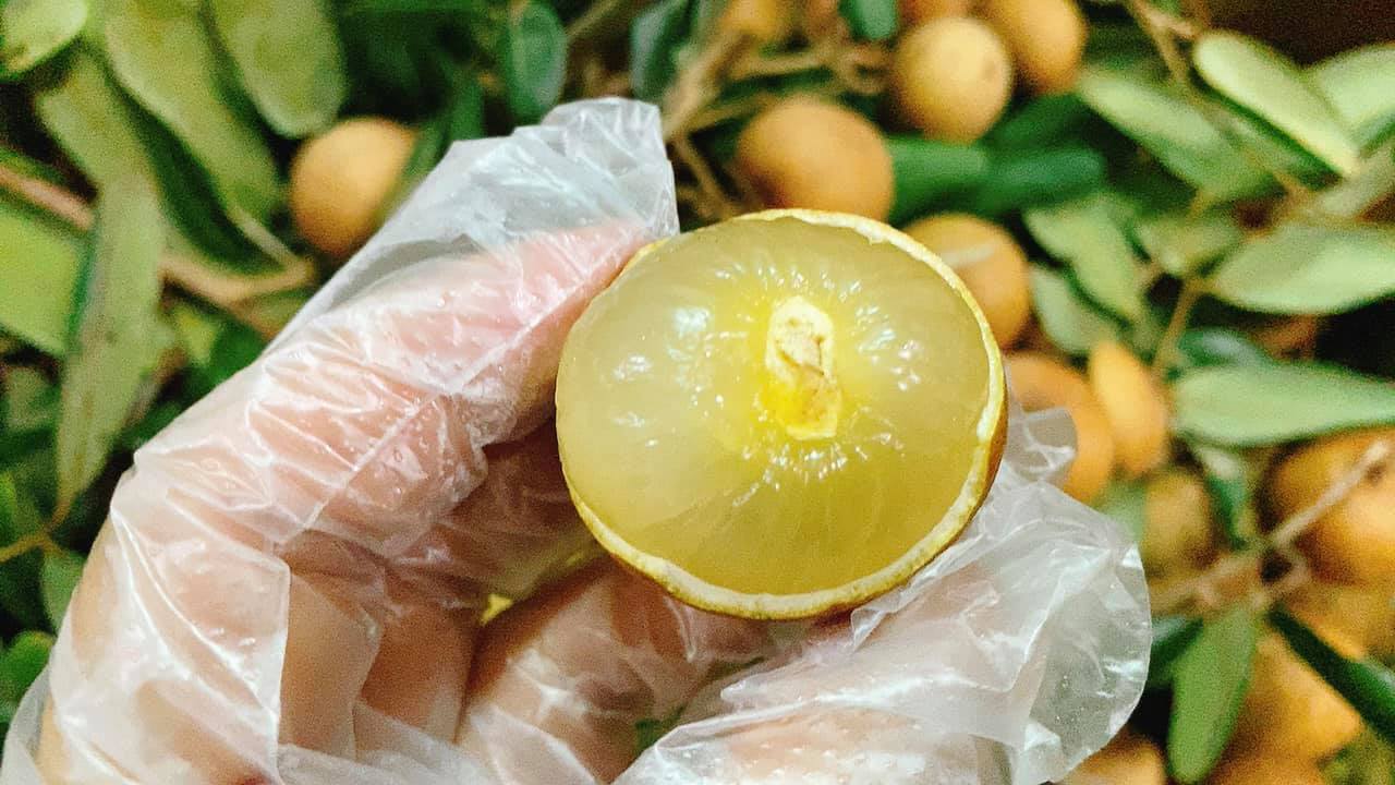 ĂN NHIỀU NHÃN XUỒNG CÓ TỐT KHÔNG