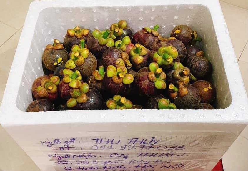 CÁCH GỞI MĂNG CỤT RA HÀ NỘI