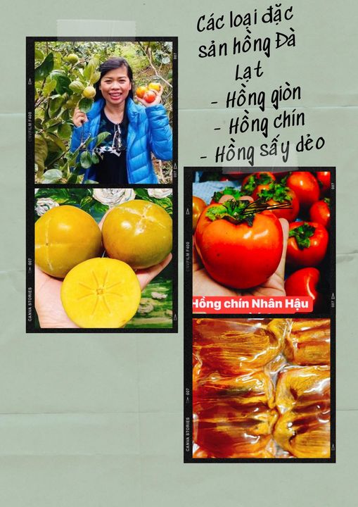 CÁCH PHÂN LOẠI QUẢ HỒNG ĐÀ LẠT