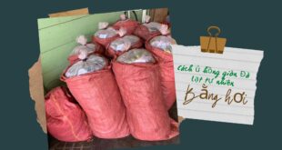 CÁCH Ủ HỒNG GIÒN ĐÀ LẠT KHÔNG BỊ CHÁT