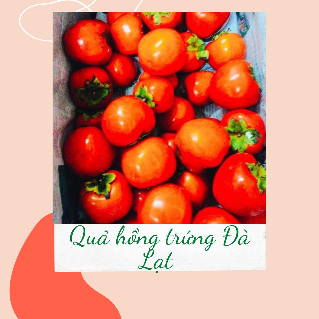 QUẢ HỒNG TRỨNG ĐÀ LẠT