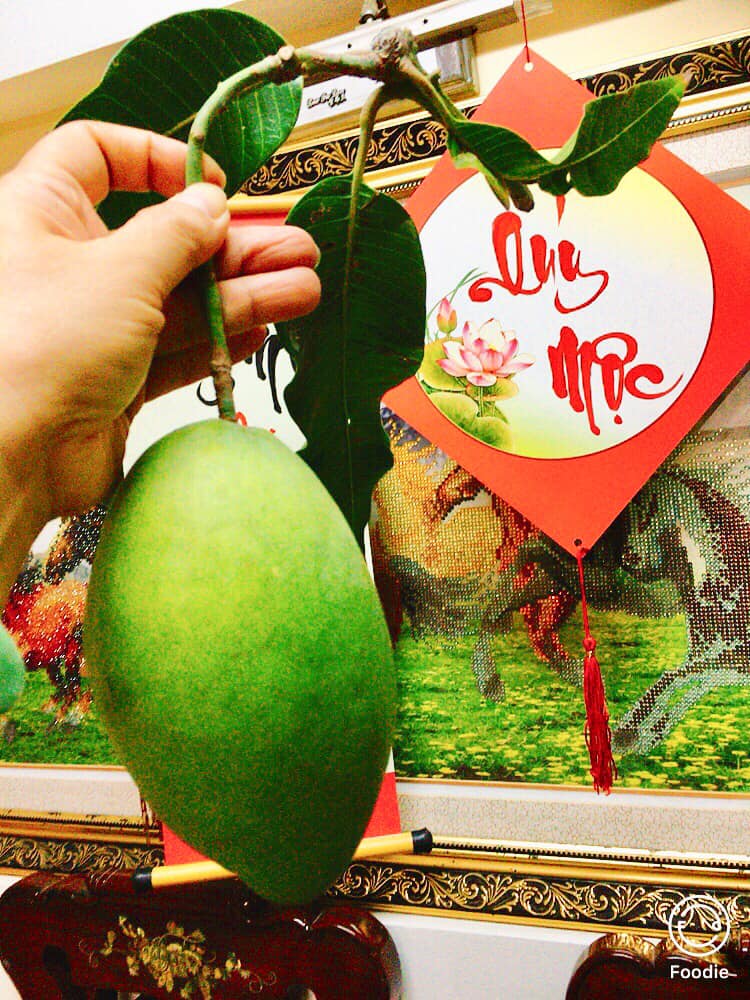 CÁCH NHẬN BIẾT XOÀI CÁT HÒA LỘC BỊ NHÚNG THUỐC