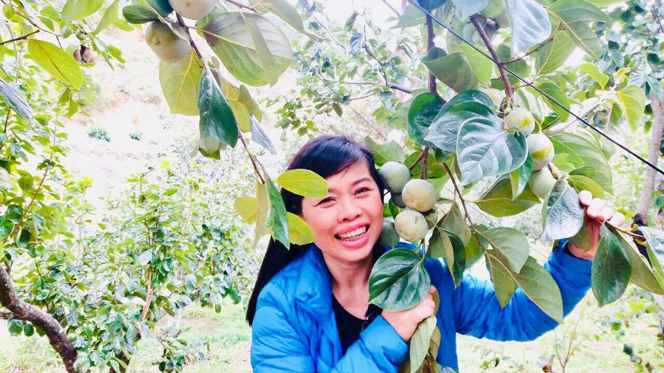 HỒNG GIÒN ĐÀ LẠT CÓ ĂN LIỀN ĐƯỢC KHÔNG?