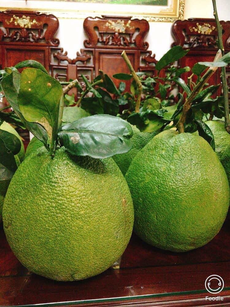 5 LÝ DO CHƯNG BƯỞI DA XANH TRONG MÂM NGŨ QUẢ.