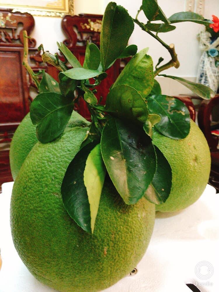 BƯỞI DA XANH VÀ BƯỞI NĂM ROI BẠN THÍCH BƯỞI NÀO?