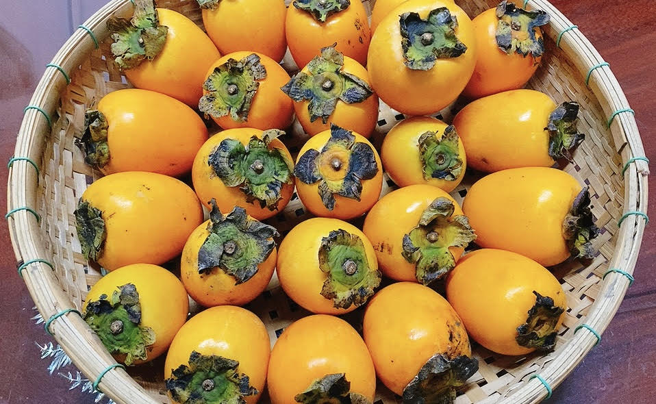 HỒNG GIÒN QUẾ HƯƠNG ĐÀ LẠT 