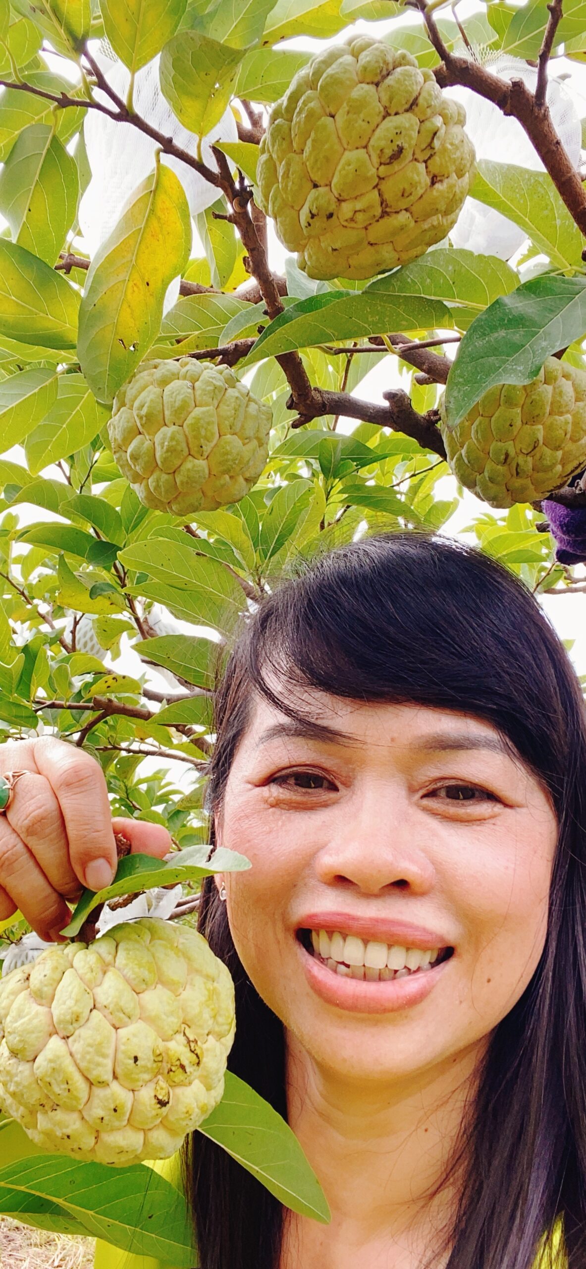 ĐẶC SẢN MÃNG CẦU TA TÂY NINH