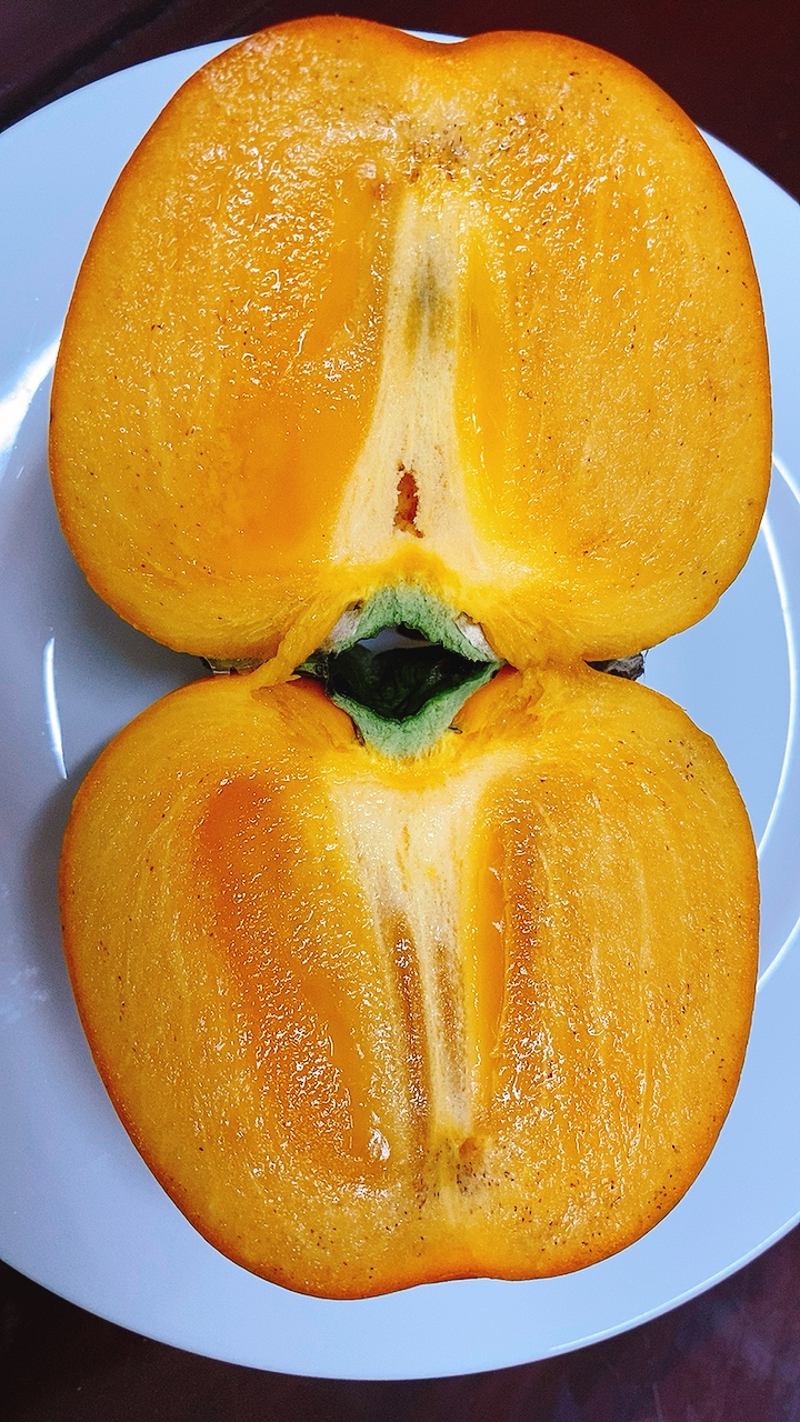 HỒNG GIÒN CHÉN ĐÁ ĐÀ LẠT