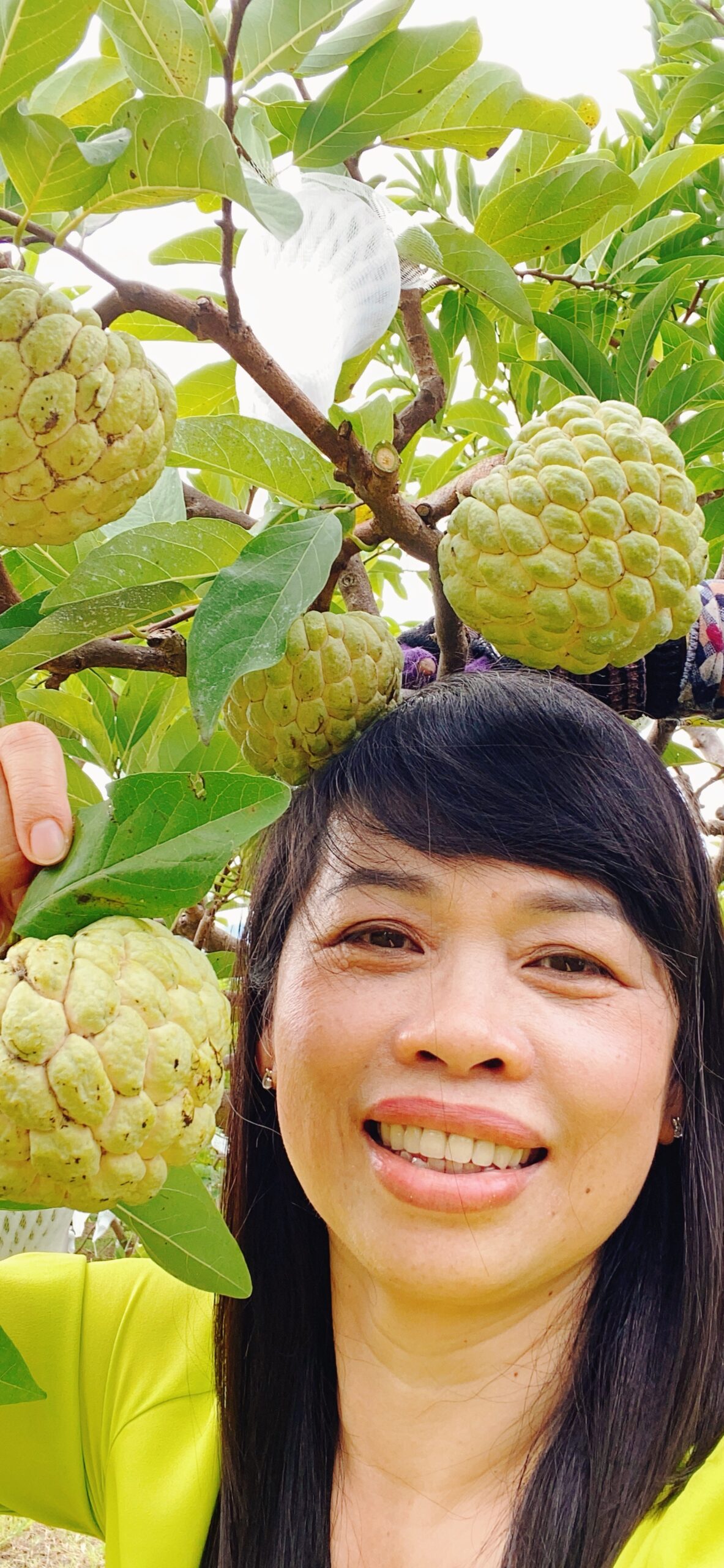 QUẢ MÃNG CẦU TA 