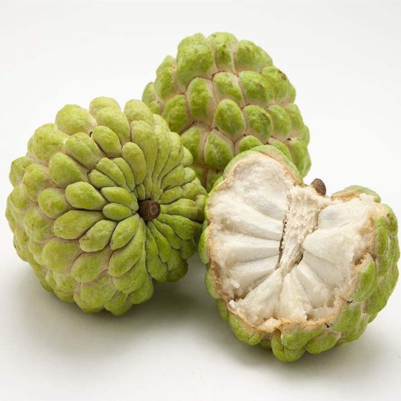 TẠI SAO QUẢ MÃNG CẦU CÓ GIÒI?