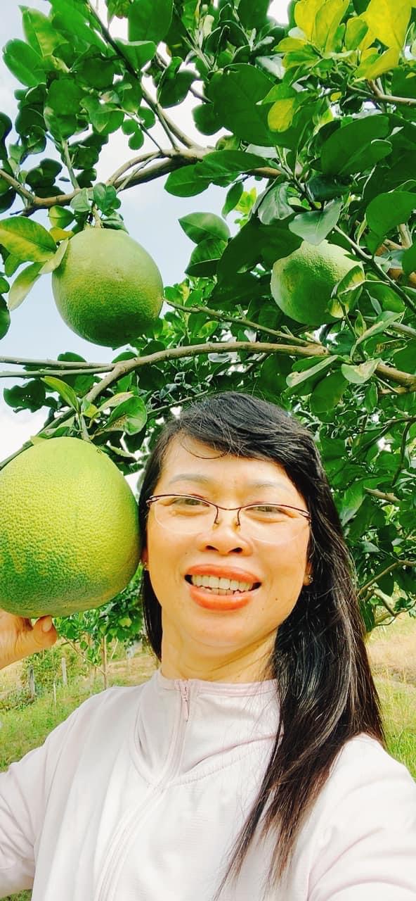 CÁCH CHỌN BƯỞI DA XANH RUỘT ĐỎ AU