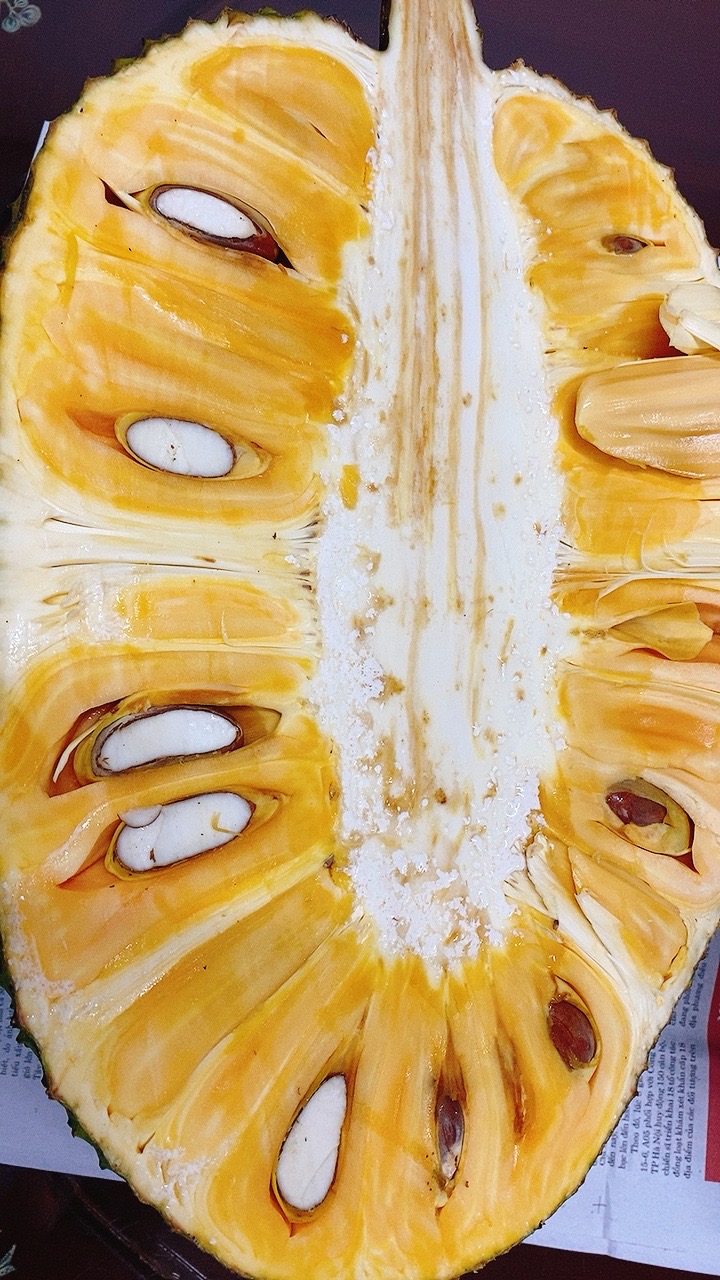 LỢI ÍCH CỦA MÍT CHÍN CÂY VỚI SỨC KHỎE