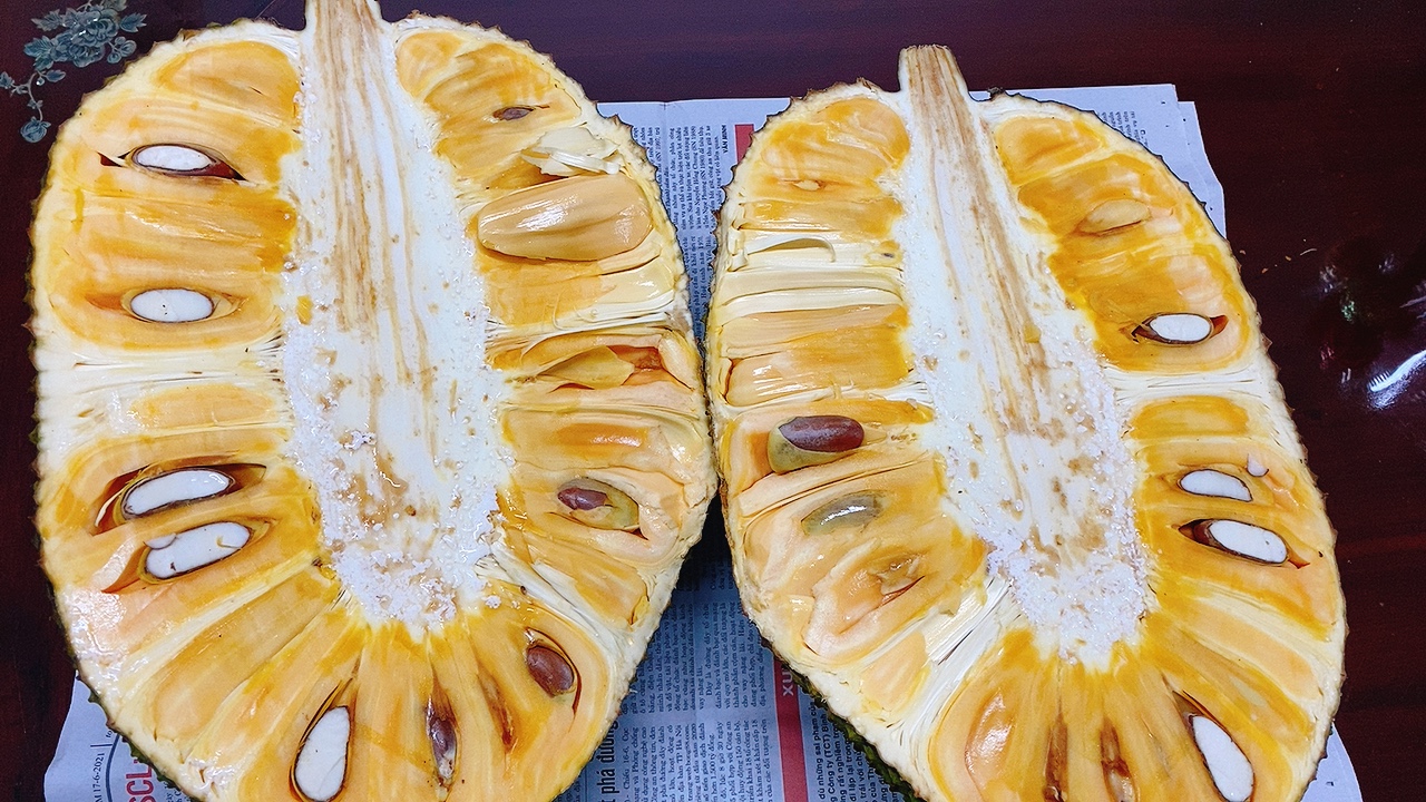 CÁCH NHẬN BIẾT MÍT CHÍN CÂY KHÔNG NHÚNG THUỐC