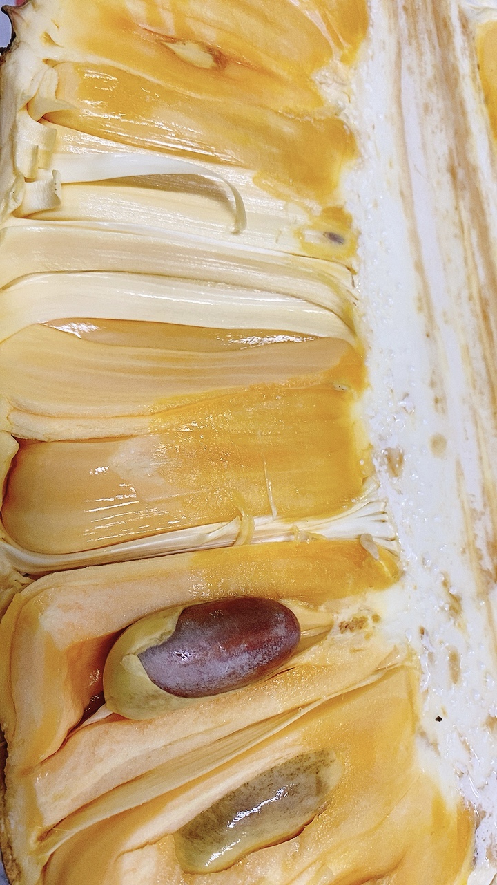 CÁCH NHẬN BIẾT MÍT CHÍN CÂY KHÔNG NHÚNG THUỐC