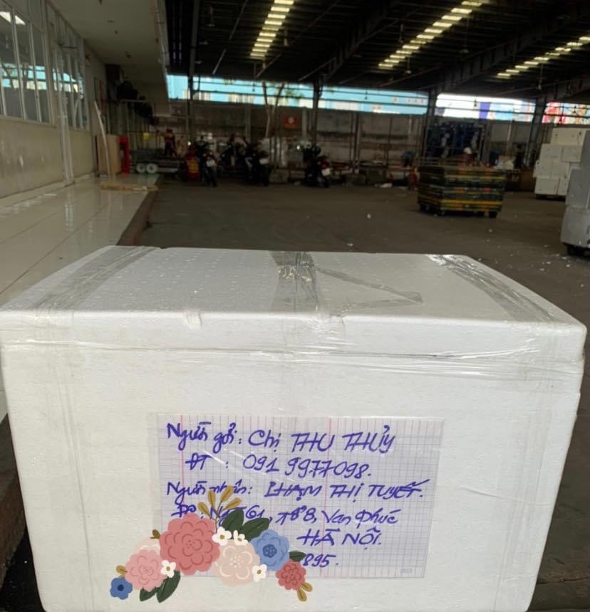 CÁCH ĐÓNG THÙNG XOÀI CÁT HÒA LỘC ĐI HÀ NỘI